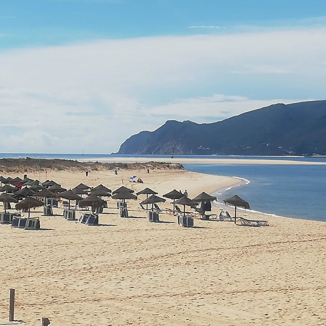 comporta 01
