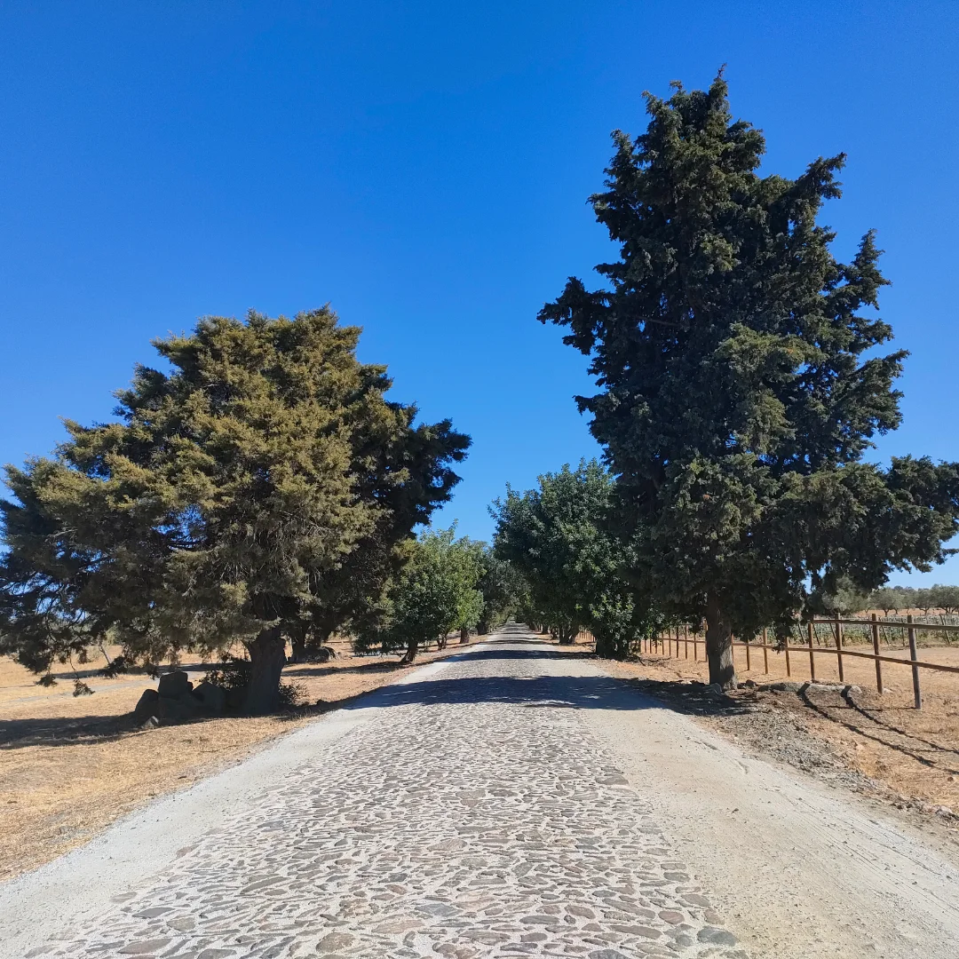 estrada fora 01