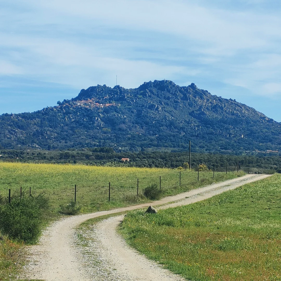 estrada fora 02